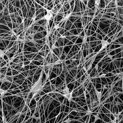 Mountain Equipment Lunar II